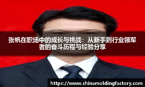 张帆在职场中的成长与挑战：从新手到行业领军者的奋斗历程与经验分享
